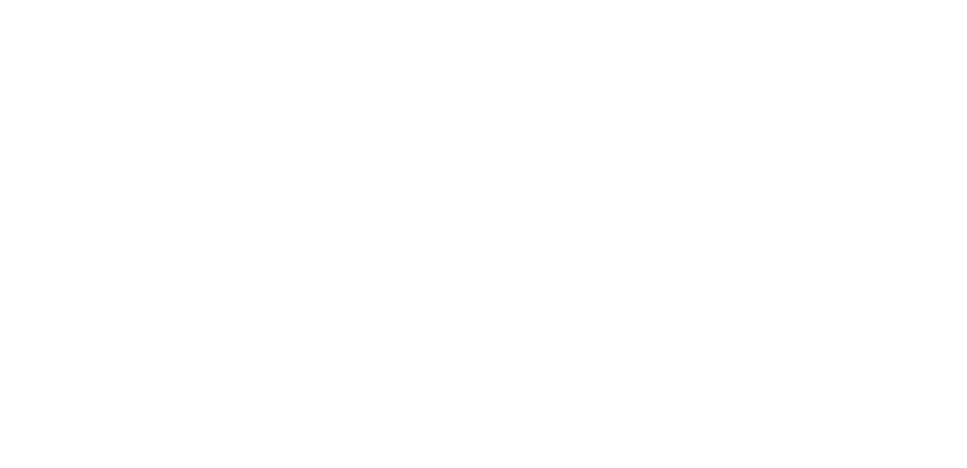 Perfect Business Logo White
